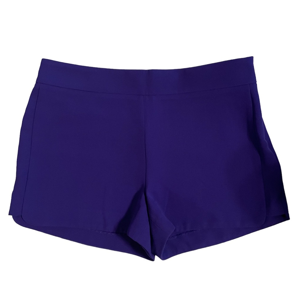 J.Crew Women’s High Waisted Dressy Purple Shorts, NWT, size 8